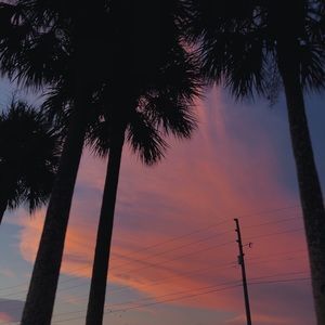 Meet your Posher, Rylee